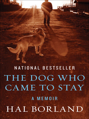 cover image of Dog Who Came to Stay
